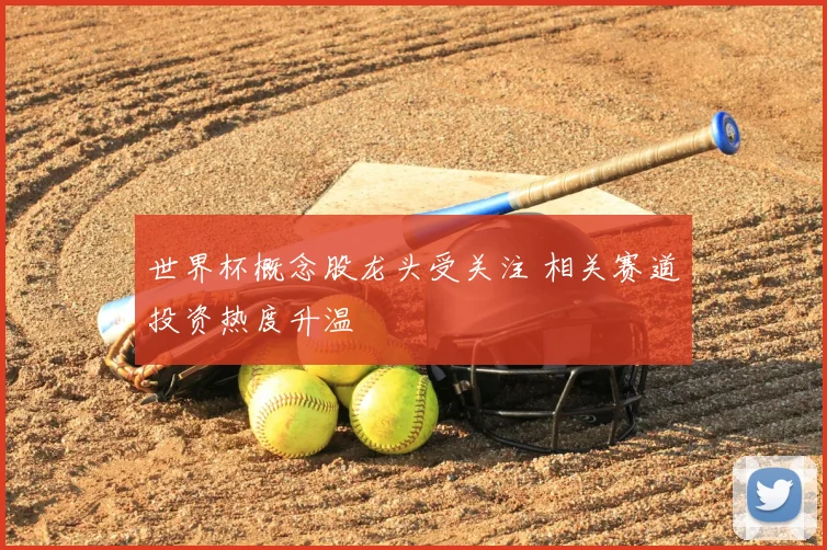 世界杯概念股龙头受关注 相关赛道投资热度升温