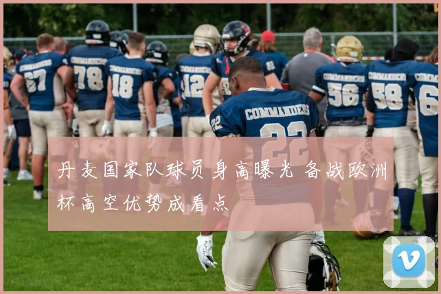 丹麦国家队球员身高曝光 备战欧洲杯高空优势成看点